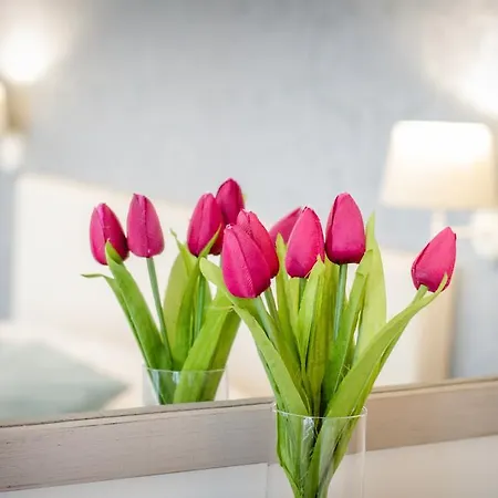 The White Queen Bed and Breakfast 3*